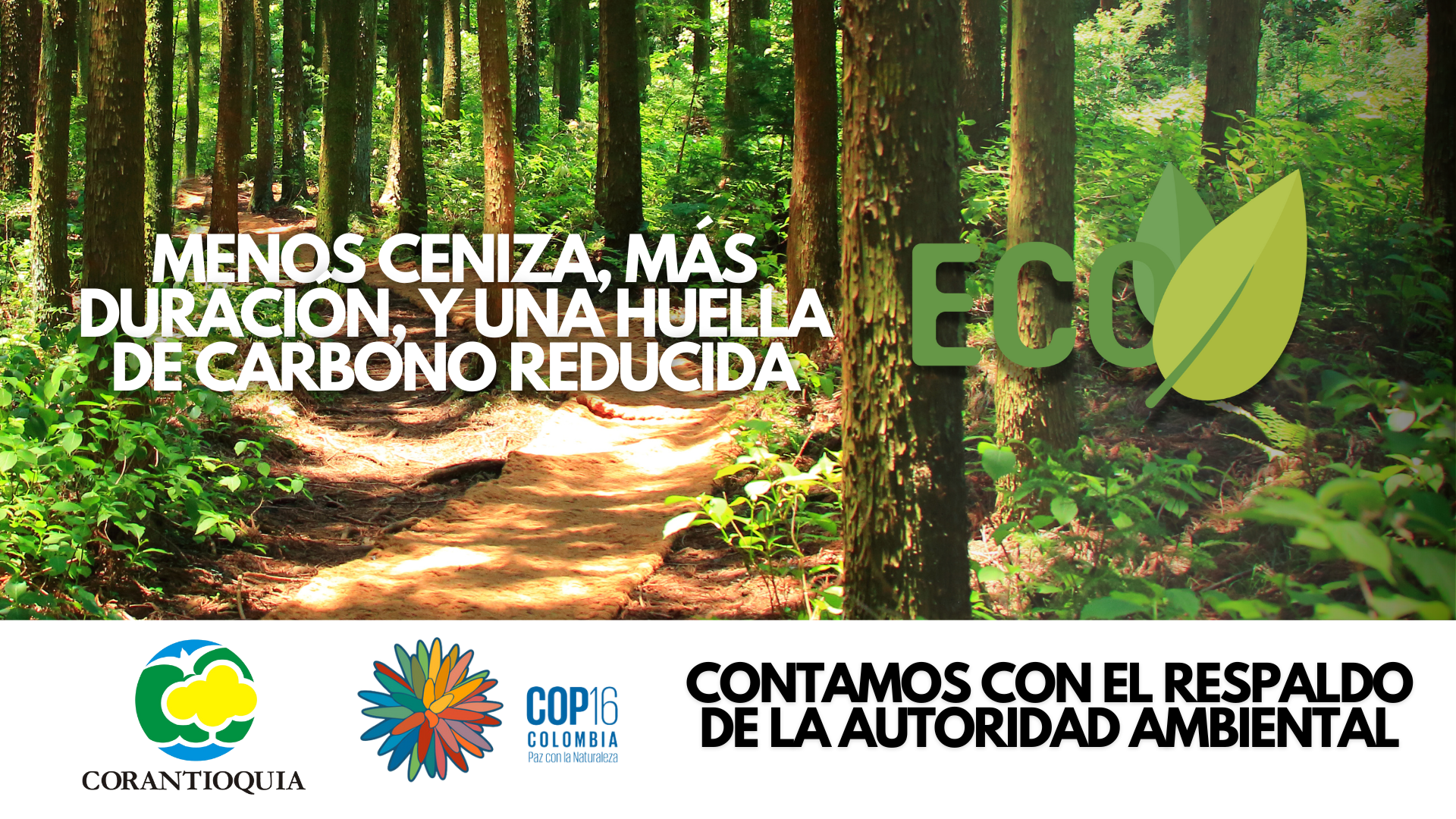 Cargar video: 
